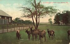 At Billmeyer's Park, Deer, Milton, Pennsylvania PA - 1909 Vintage Postcard picture