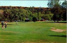 Chico, CA California  MUNICIPAL GOLF COURSE  Golfers~Golfing  ca1950's Postcard picture