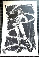 Signed Mike Lilly Wonder Woman Ink/Wash Commission 11x17 picture