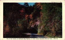 Tunnel on Newfound Gap Highway Great Smoky Mountains Nat'l Park Postcard 1930s picture
