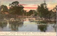 Postcard Michigan Belleview Scene Down The River Hand Colored Albertype 1908 MI picture