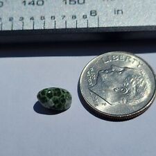 Lake Superior Michigan Greenstone Chlorastrolite 1.25 ct. picture