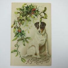 Christmas Postcard Dog Sits Jack Russell Terrier Holly Berries Embossed Antique picture