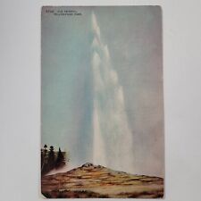 Yellowstone Park WY Wyoming Old Faithful Antique Vintage Postcard picture