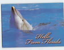 Postcard Dolphin Greetings from Florida USA picture