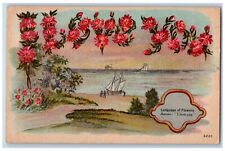 Language Of Flowers Postcard Astora I Love You 1909 Posted Antique picture