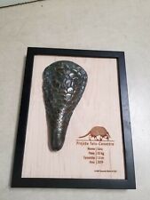 Giant Armadillo Conservation Project Plaque - Sara picture
