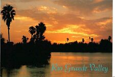 NEW Postcard Rio Grande Valley Texas sunset palm tree 4x6 Postcrossing Collector picture