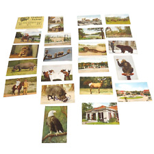 Elephant Package New York Zoological Park 21 Cards Set No 2 Postcards Vintage picture
