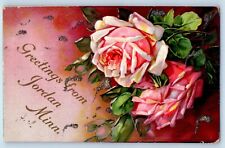 Jordan Minnesota MN Postcard Greetings Pink Rose Flowers Glitter Embossed 1908 picture