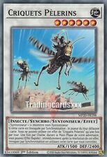 Yu-Gi-Oh Locusts for Pilgrims: C MP20-FR198 picture