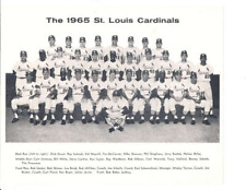 1965 St. Louis Cardinals vintageTeam picture card  bxphoto 8 x 10  picture