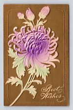 Old Embossed Postcard Best Wishes Embossed Purple Flowers Kendallville IN 1908 picture