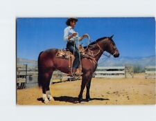 Postcard Quarter Horse picture