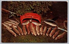 A Fishermans Dream Postcard Fish Creel Net and Fishing Rod picture