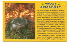 Armadillo TX Postcard Texas Information picture