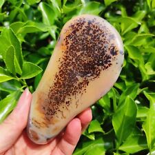 TOP 320G Natural Polished Aquatic Plants Agate Crystal Madagascar C25 picture