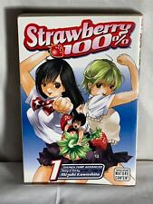 Strawberry 100% Vol 1 Mizuki Kawashita 2007, English Manga Shonen Jump Volume 1 picture