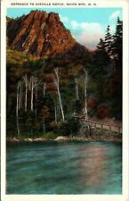 White Mountains New Hampshire NH Dixville Notch Entrance Vintage Postcard picture