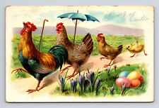 1908 TUCK's Easter Anthropomorphic Chicken Family Crocus Flowers Chick Postcard picture
