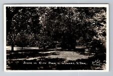 Winner SD-South Dakota RPPC, Scene In City Park, Antique, Vintage c1950 Postcard picture