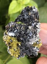 Dark brown clinochlore mica cluster on matrix with vibrant green epidote 33 Gram picture