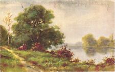 Picturesque View of Trees And Old Mill Pond, New Hampshire Postcard picture