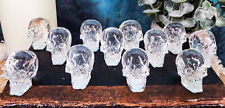 Ebros Pack Of 12 Clear Translucent Witching Hour Gazing Skull Mini Figures1