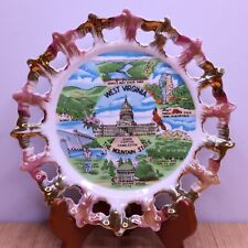 Vintage WEST VIRGINIA Souvenir Collector Plate The Mountain State Charleston picture