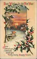 Clapsaddle New Year Wolf Pub Winter Creek Sunrise Vintage Postcard picture