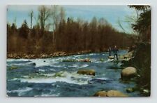 Hood River Trout Fishing Rapids Dimmick Park Oregon VTG OR Postcard picture