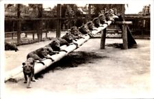 1937 Gay's LION Farm, El Monte, California, ANIMALS Real Photo Postcard picture