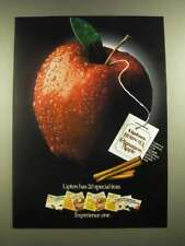 1988 Lipton Herbal Tea Cinnamon Apple Ad - 20 Special Teas picture