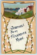 1910 Greetings From Rushmore Blossom Trees Minnesota MN Correspondence Postcard picture