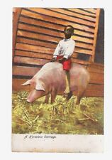 1906 Illustrated Postcard Child Riding a Pig/Hog, 