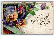 Merricourt North Dakota ND Postcard Good Luck Embossed Horseshoe 1915 Antique picture