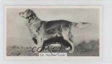 1938 Sinclair Champion Dogs Tobacco Golden Retriever #3 0a4f picture