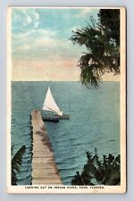 Vero FL- Florida, Looking Out On Indian River, Antique, Vintage Postcard picture