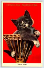 Greetings from Neillsville WI Puss in Basket Cat Kitten Wisconsin Postcard picture