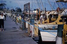 1950s 35mm Red Border Slides 2X Florida Hillsboro Inlet Charter Fishing #1270 picture