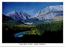 Vintage ALASKA Postcard Toad River Valley Alaska Highway  picture