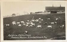 RPPC Elizabethtown Masonic Homes Dairy Cows Pennsylvania Real Photo Postcard picture