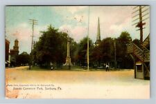 Sunbury PA-Pennsylvania, James Cameron Park, c1907 Rotograph Vintage Postcard picture