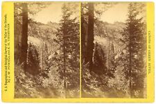 UTAH SV - Green River - Cactus Creek in Red Canyon - Powell Expedition c1871-72 picture