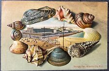 Antique Embossed Sea Shell Border Postcard Atlantic City NJ Youngs Pier 1906 picture