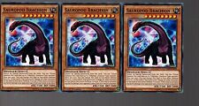Yugioh Cards - Playset Of 3x Sauropod Brachion SR04-EN008 1st Edition picture