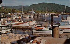 Washington Chinook Boat Basin mouth Columbia River ~ postcard  sku497 picture