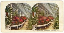 c1900's Colorized Stereoview The White House Conservatory in Washington DC picture