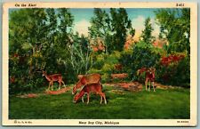 On The Alert Landscape Deer Bay City Michigan MI UNP Linen Postcard F14 picture