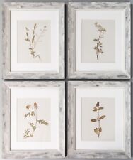 Custom Framed Antique Swedish Herbarium Botanical Specimens, Set of Four picture